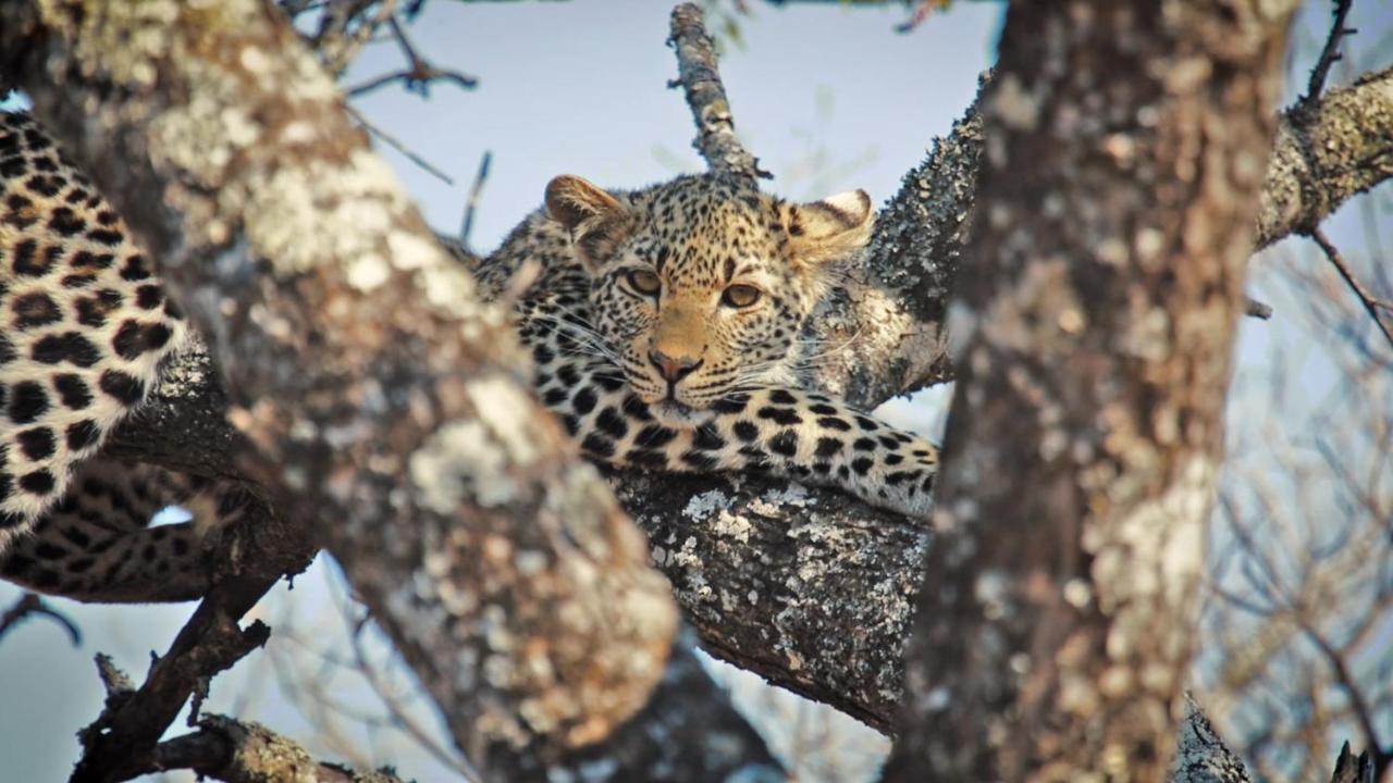 Lodge Floreat Riverside And Sabie